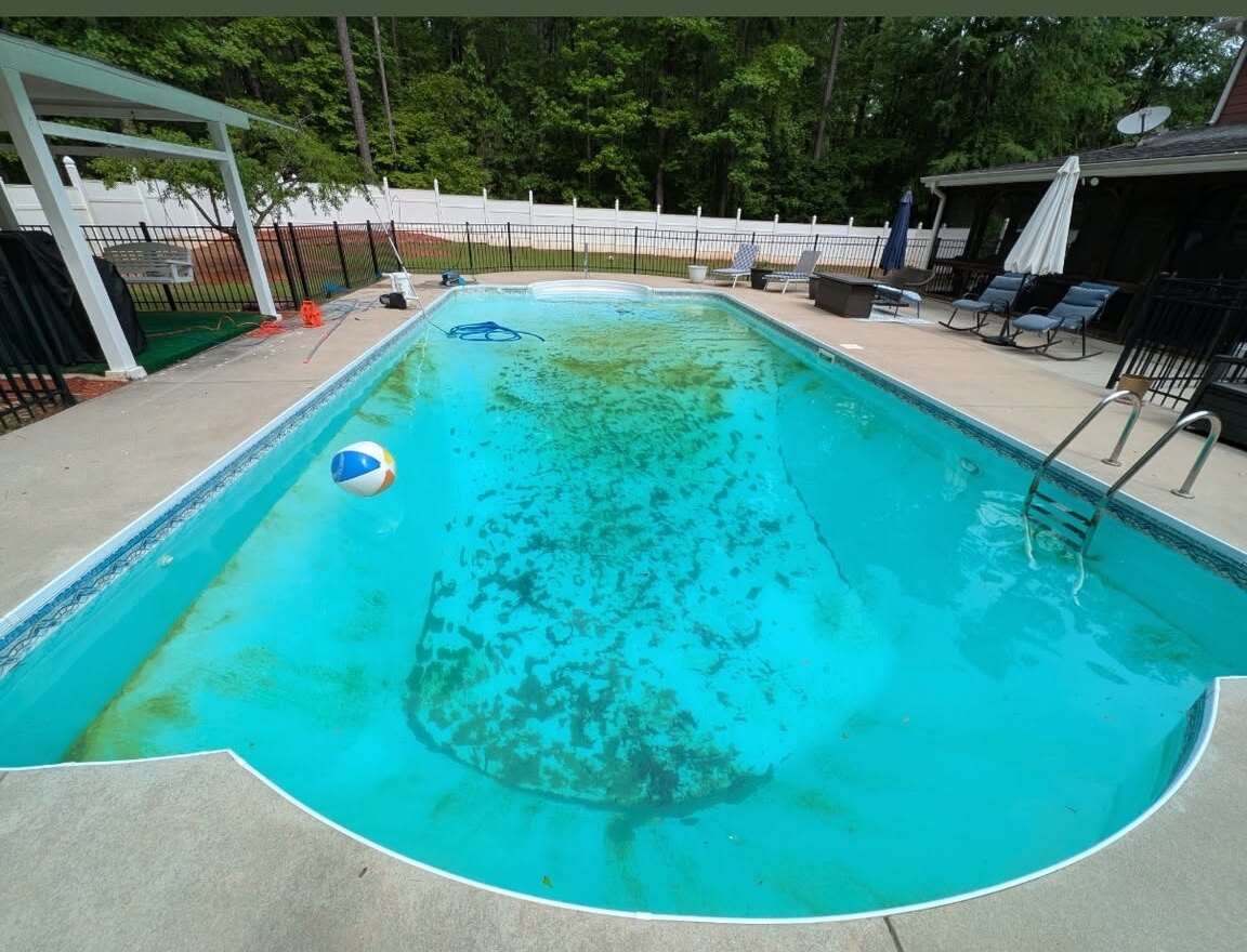 Pool before restoration with algae and debris